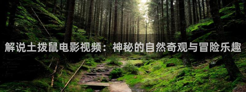 茄子视频一