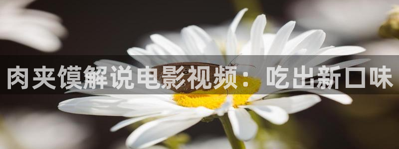 91茄子视频