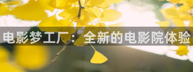 茄子视频视频