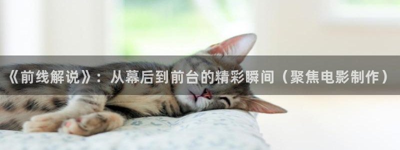 茄子视频 magnet