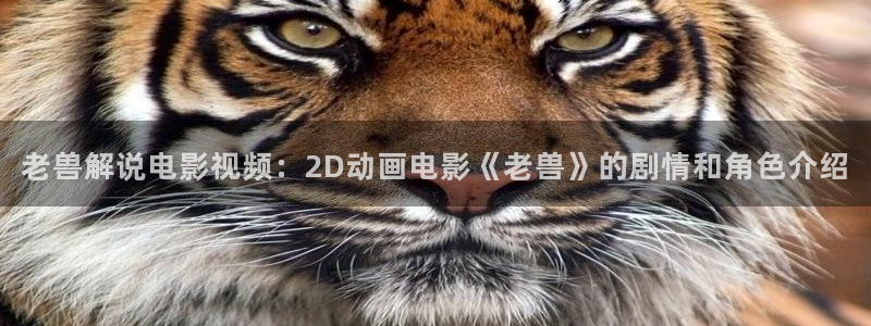 樱花视频茄子视频