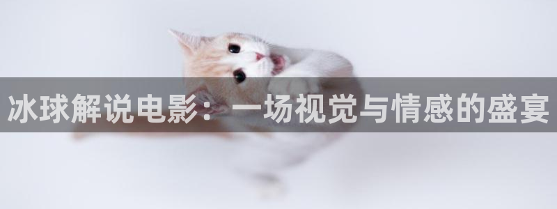 茄子视频视频