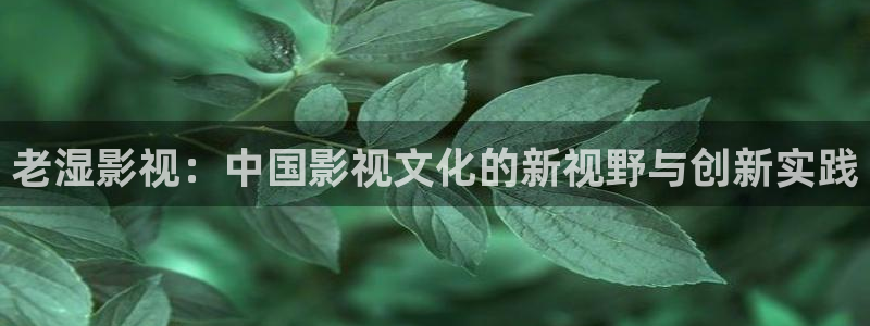 丝瓜茄子视频在线观看
