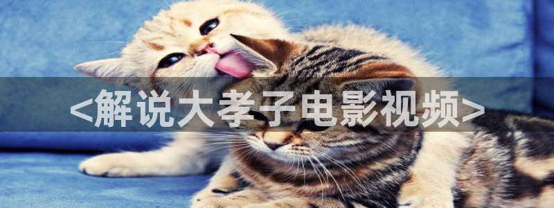 茄子视频www
