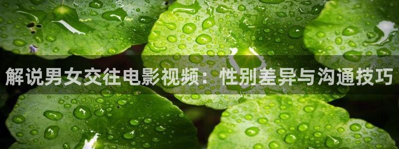 樱桃茄子视频