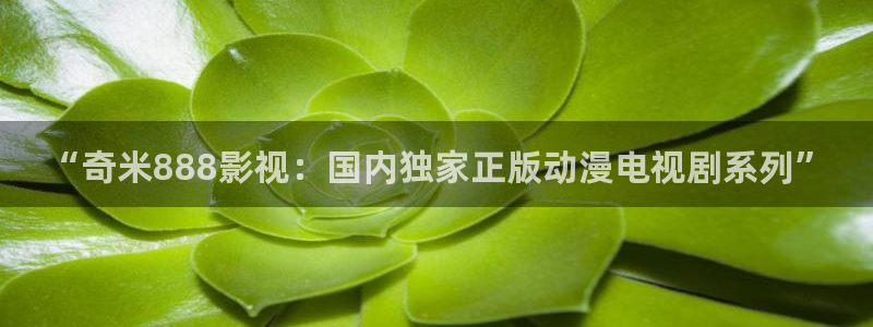 丝瓜茄子视频在线观看