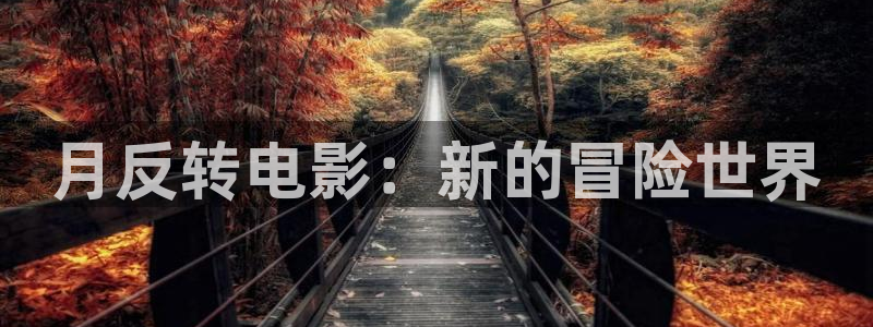 小优视频茄子视频