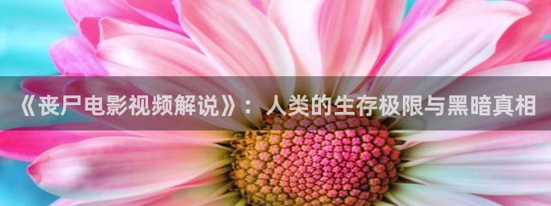小优视频茄子视频