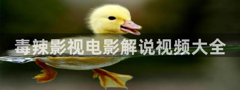 91茄子视频