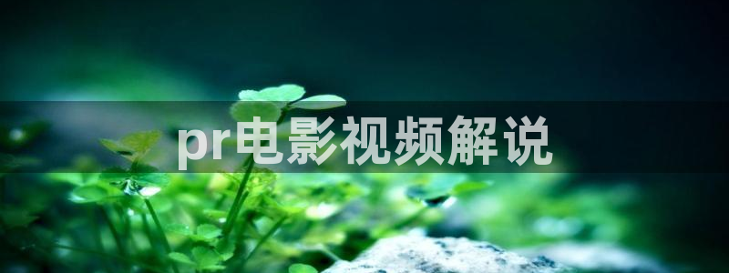 大茄子视频