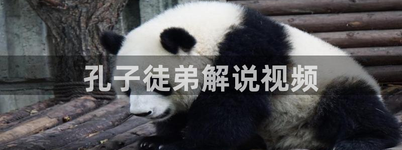 丝瓜茄子视频在线观看