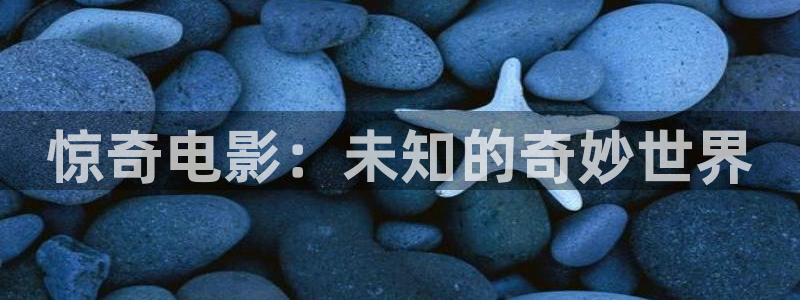 大茄子视频：惊奇电影：未知的奇妙世界