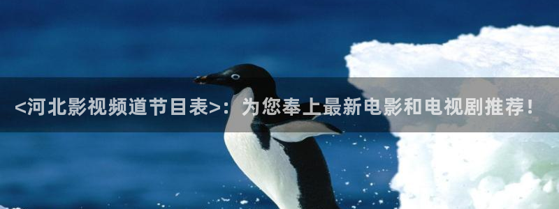 茄子视频视频