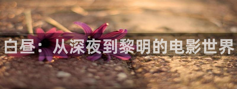 茄子视频视频：白昼：从深夜到黎明的电影世界
