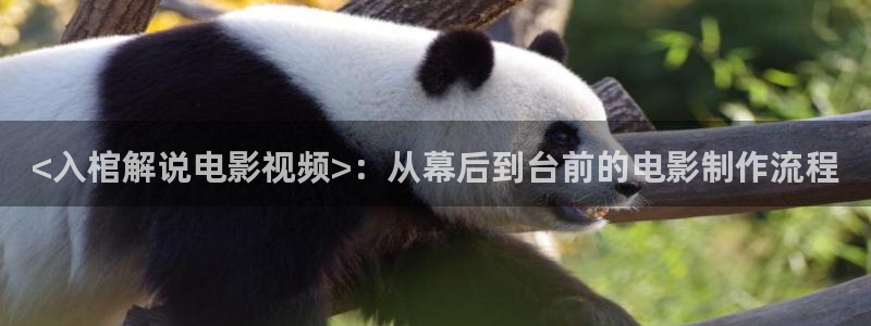 大茄子视频