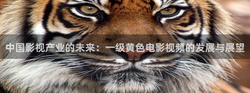 茄子视频www